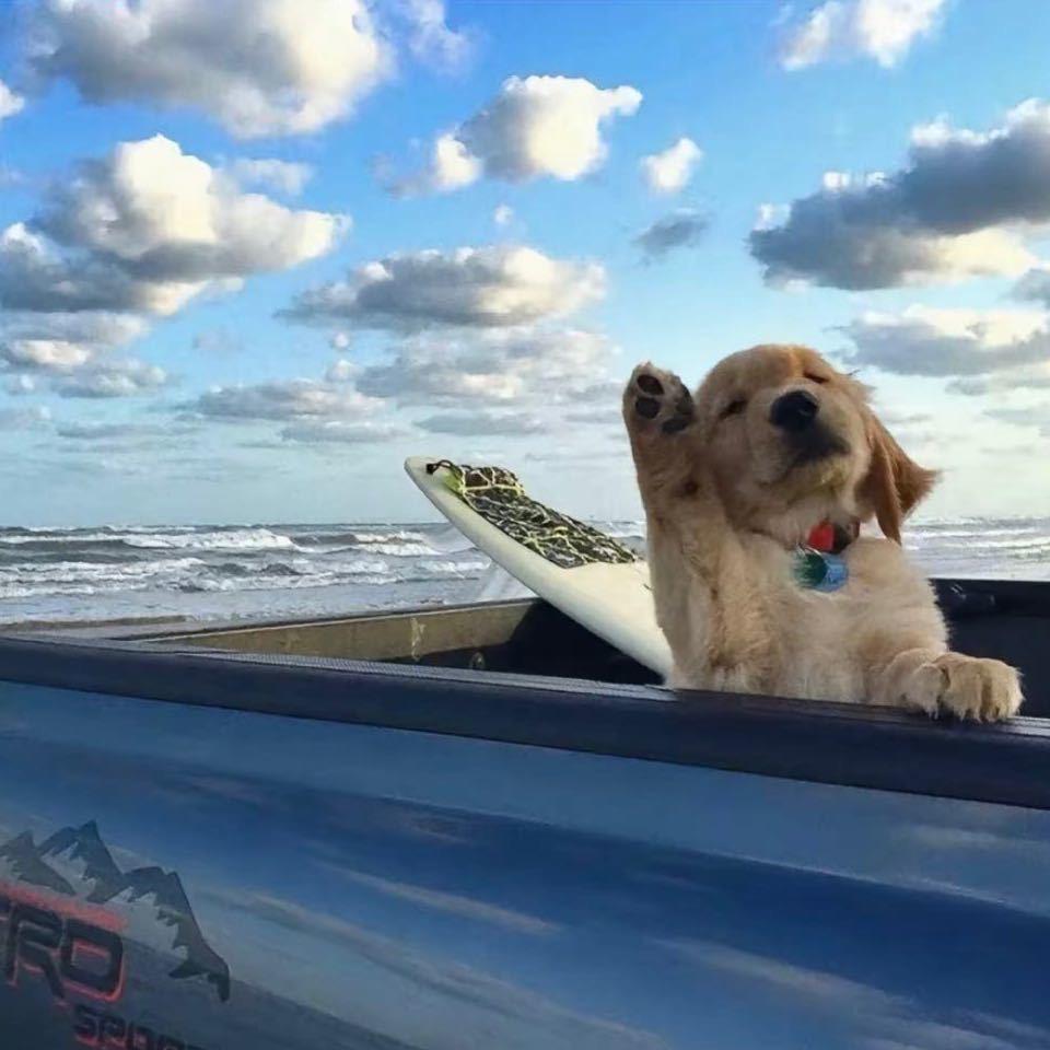 ￴ ￴￴ ￴ ￴ ￴ ￴ ￴￴