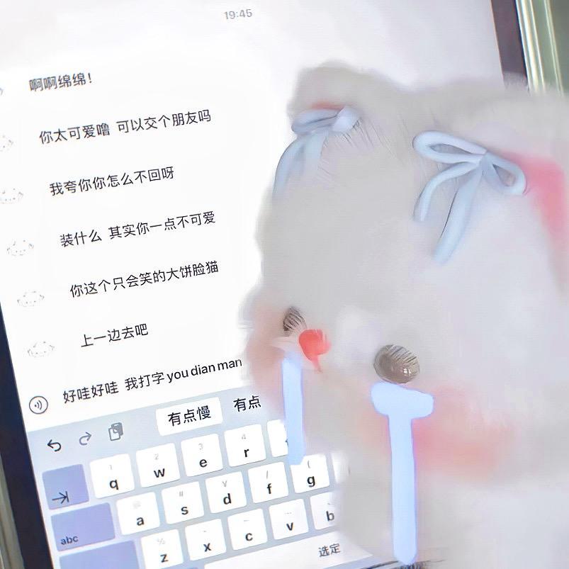 柠檬千层