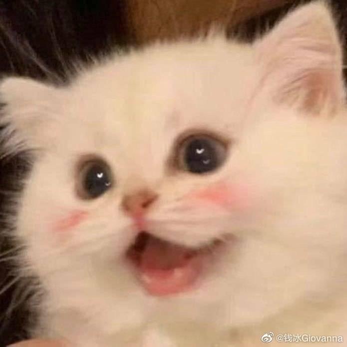 甜甜苏