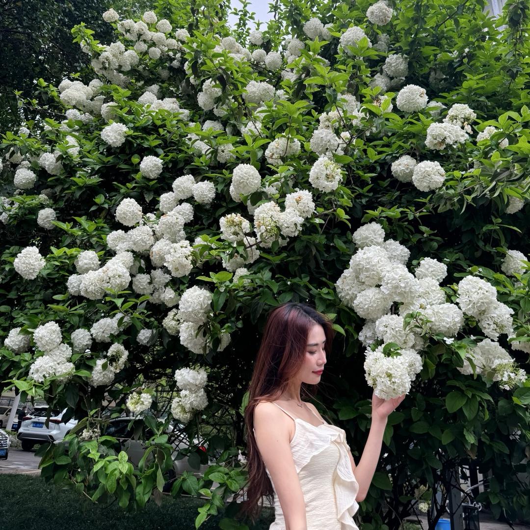 酥酥同学