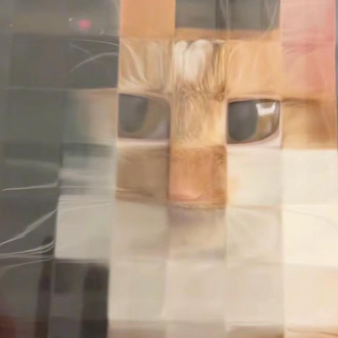 羲羲