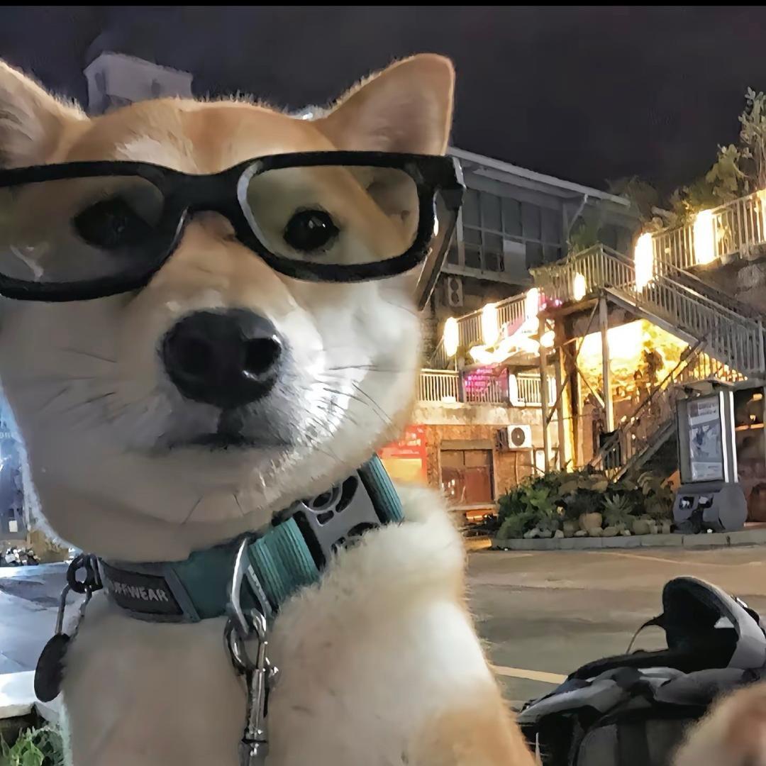 一起看海嗎