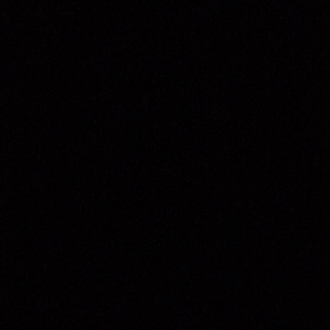 傻子
