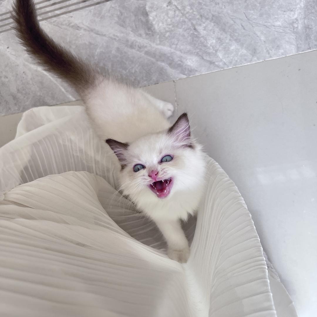 宝贝