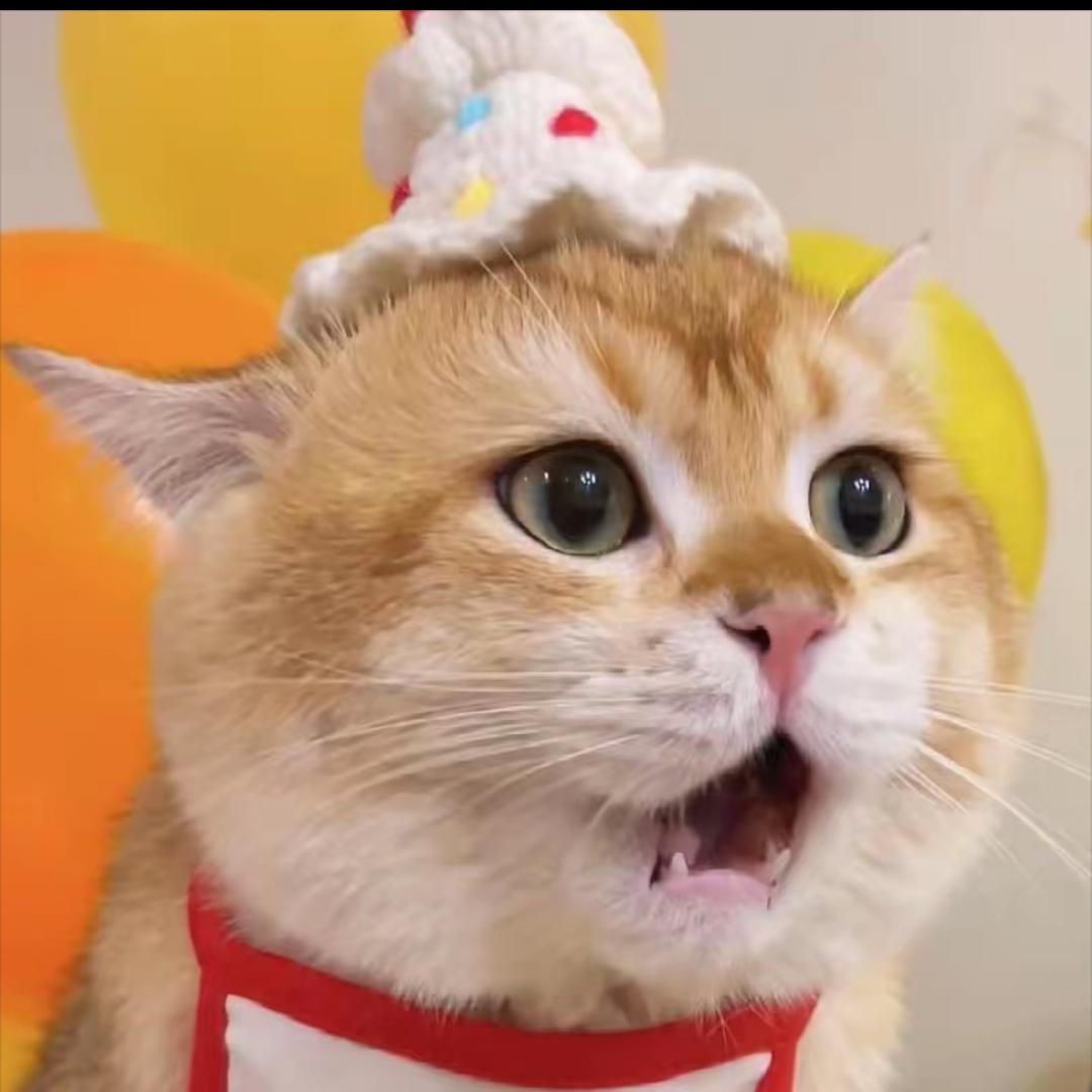 走天下鞋行