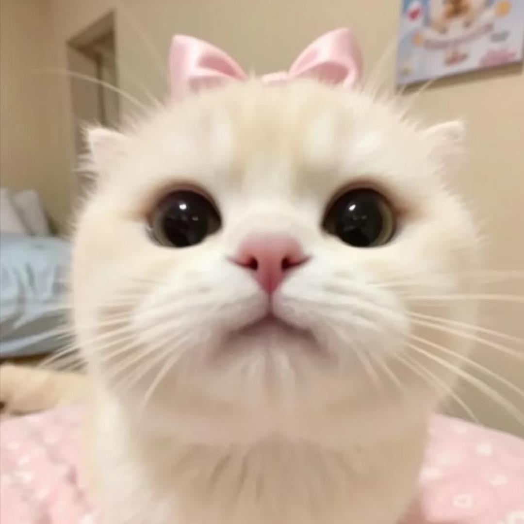 小奕碎冰冰
