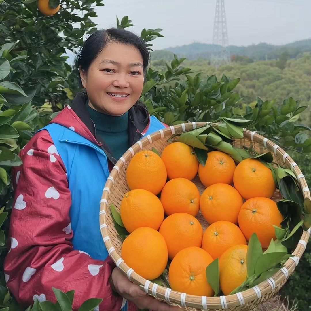 赣州橙子姐生鲜水果
