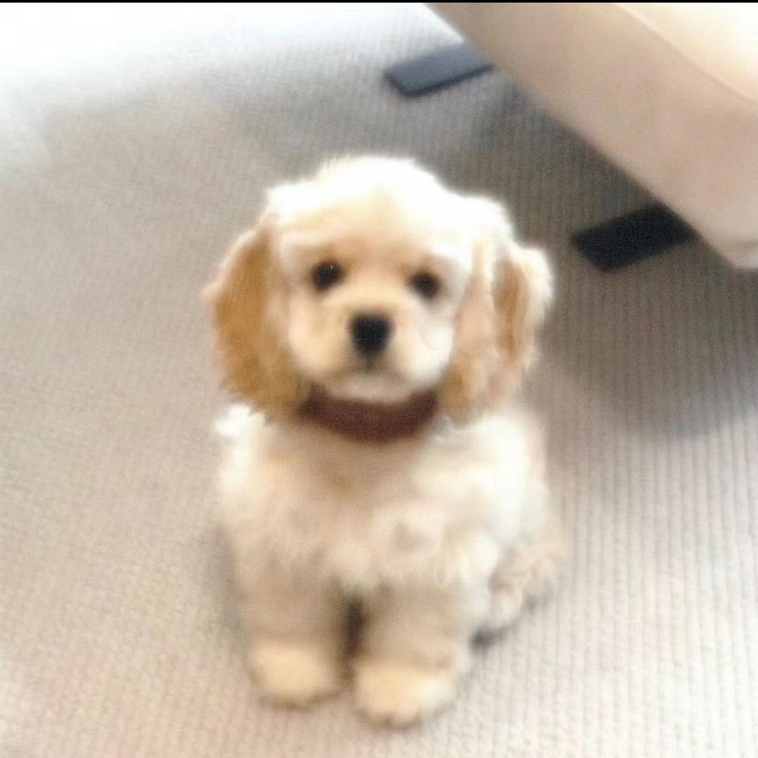 改名字真的能成功减肥吗？