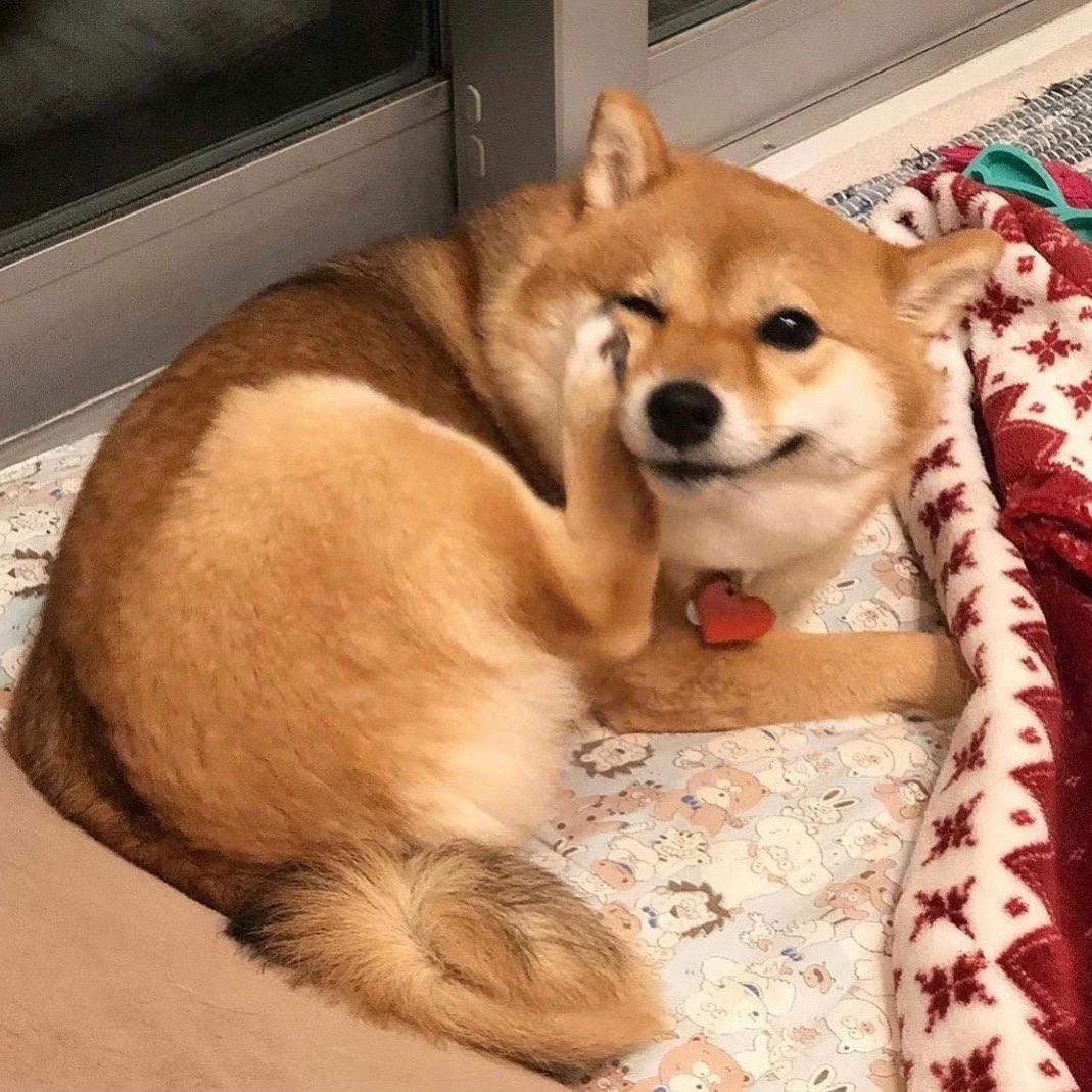 哦哈哈哈