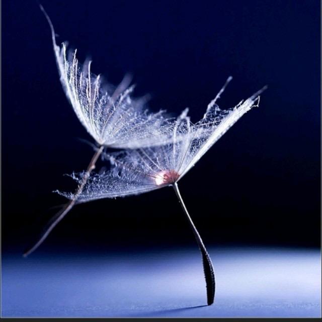 不老神仙哦（王者荣耀）21:00