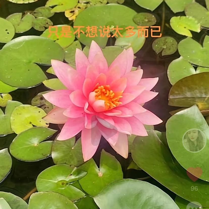 停止纠缠