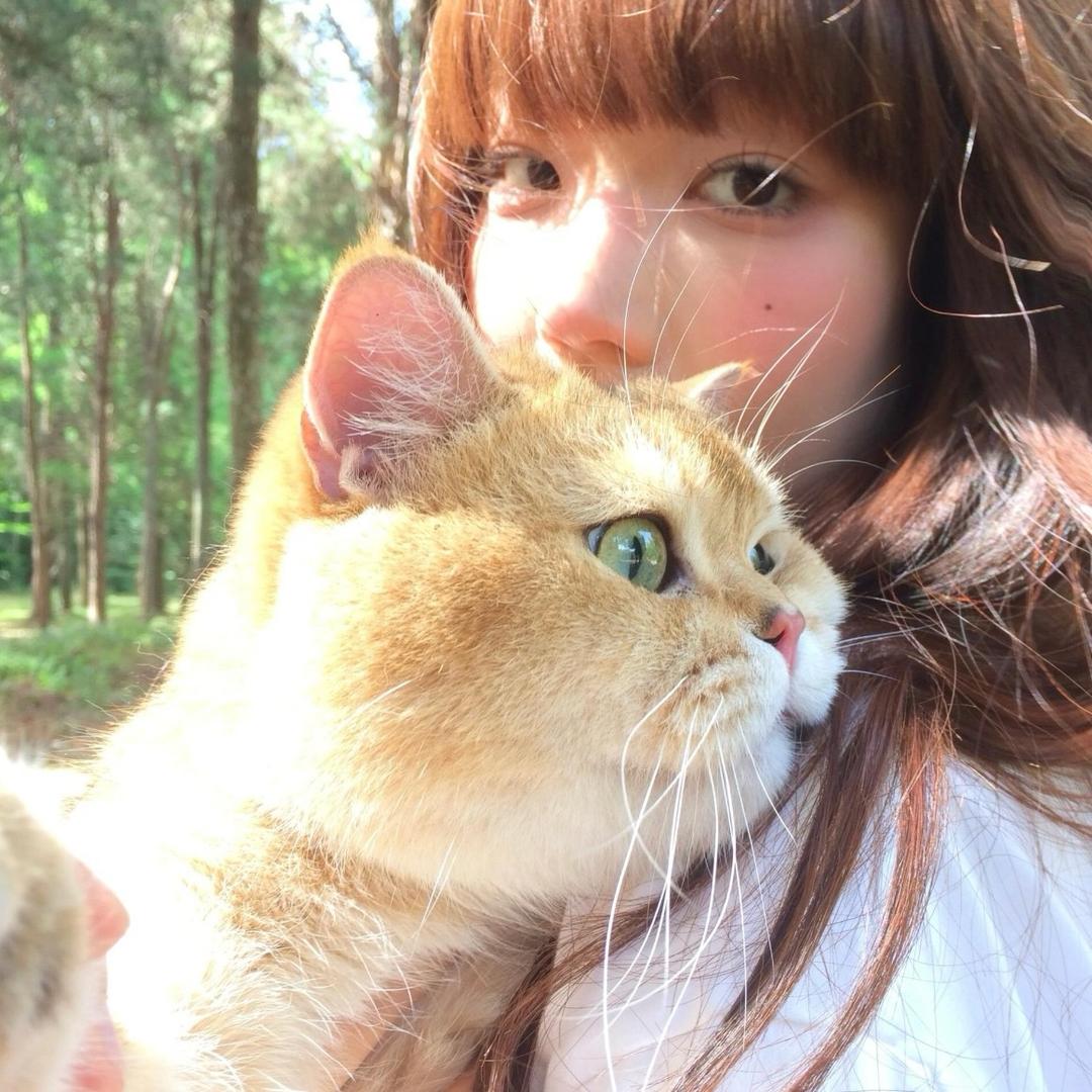 小小老子降临