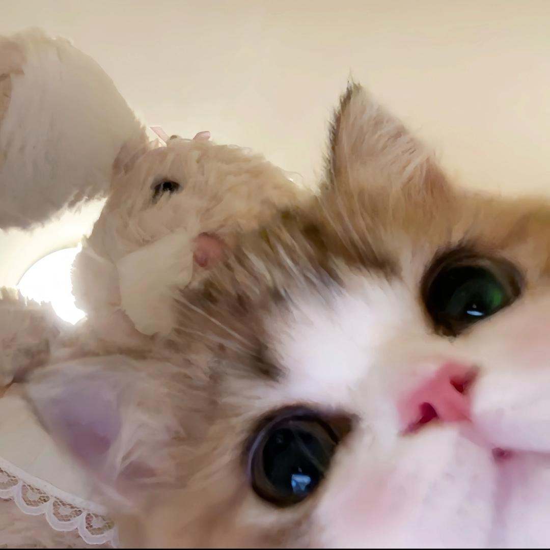 臭臭