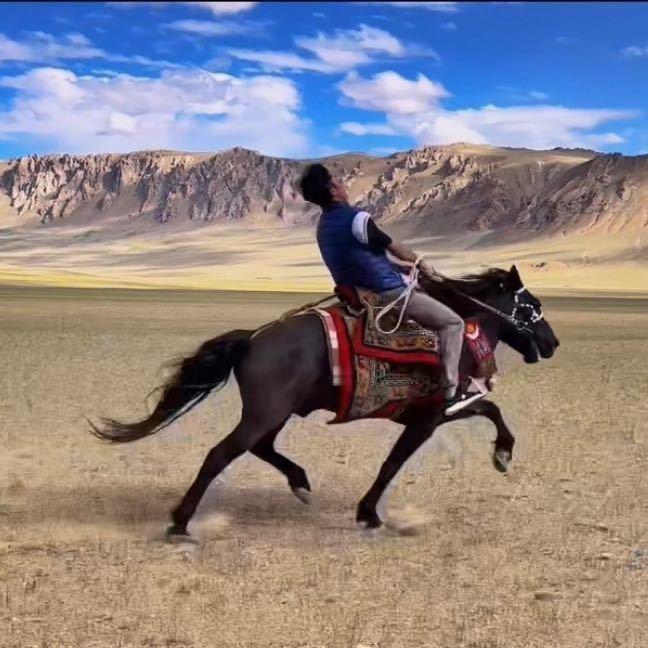 马背上的小伙子