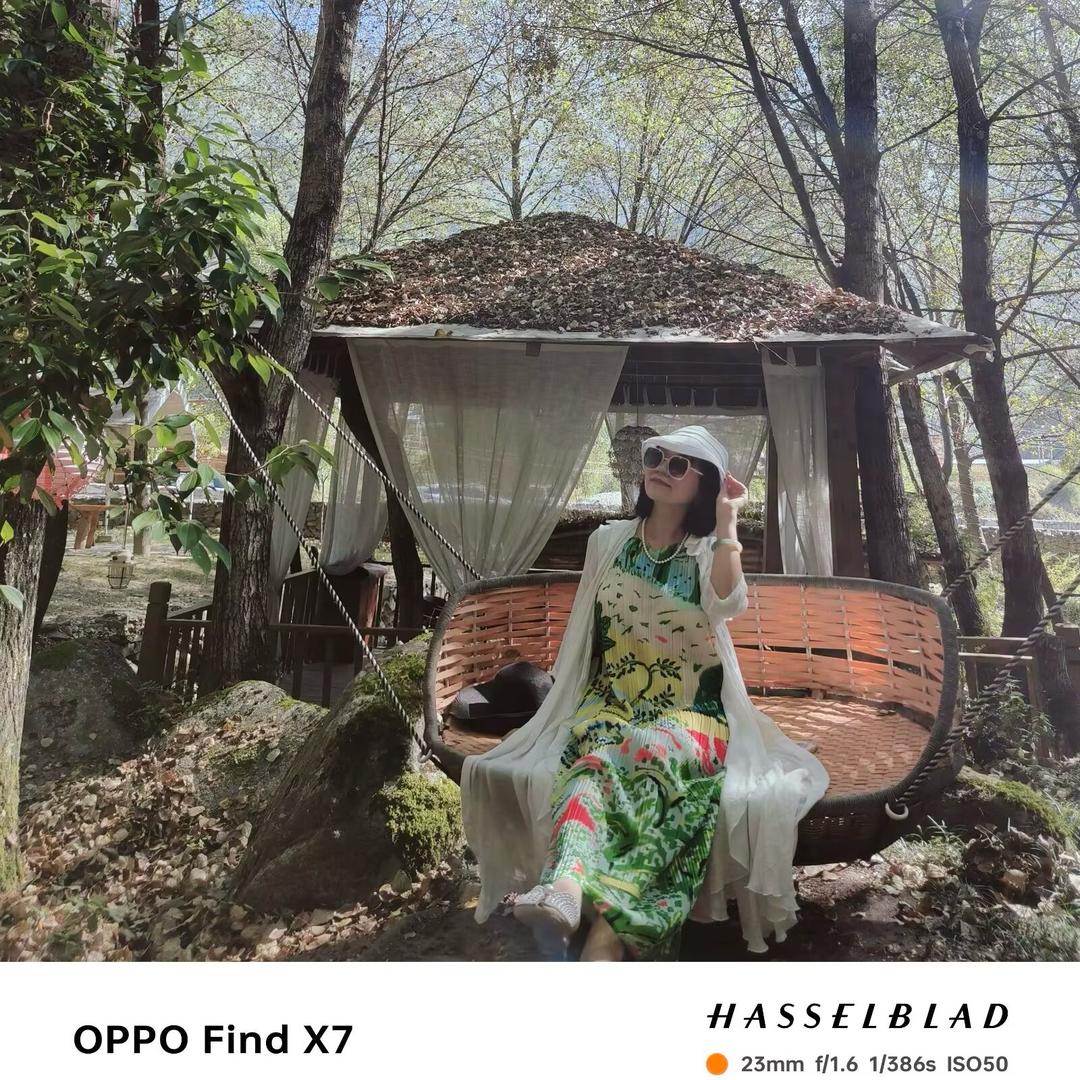 小马阿姨（后勤妈妈）