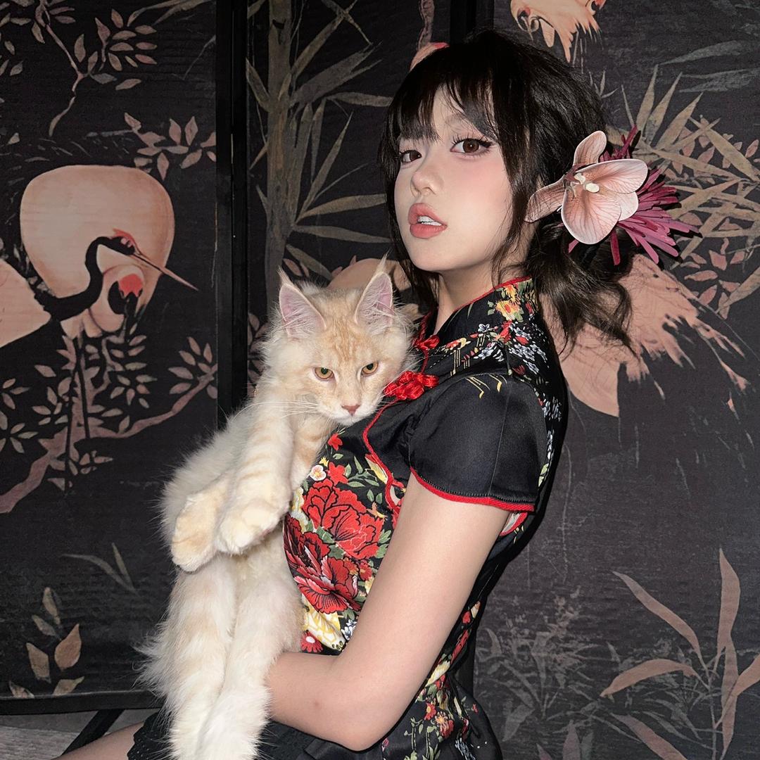 贝贝（发财版