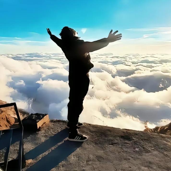 秦泰