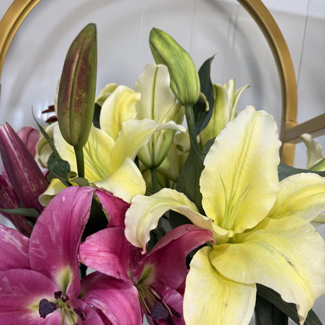 天天花香鲜花铺