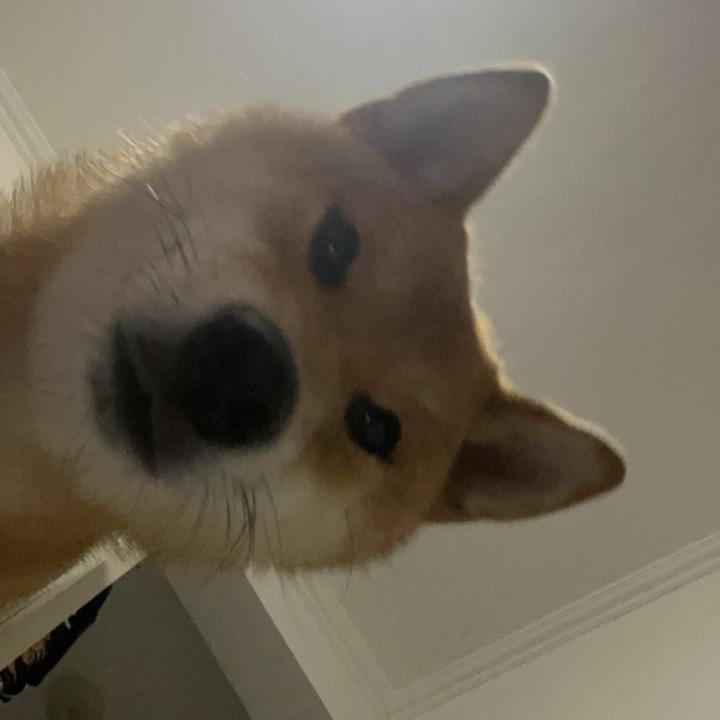 玛玛哈哈