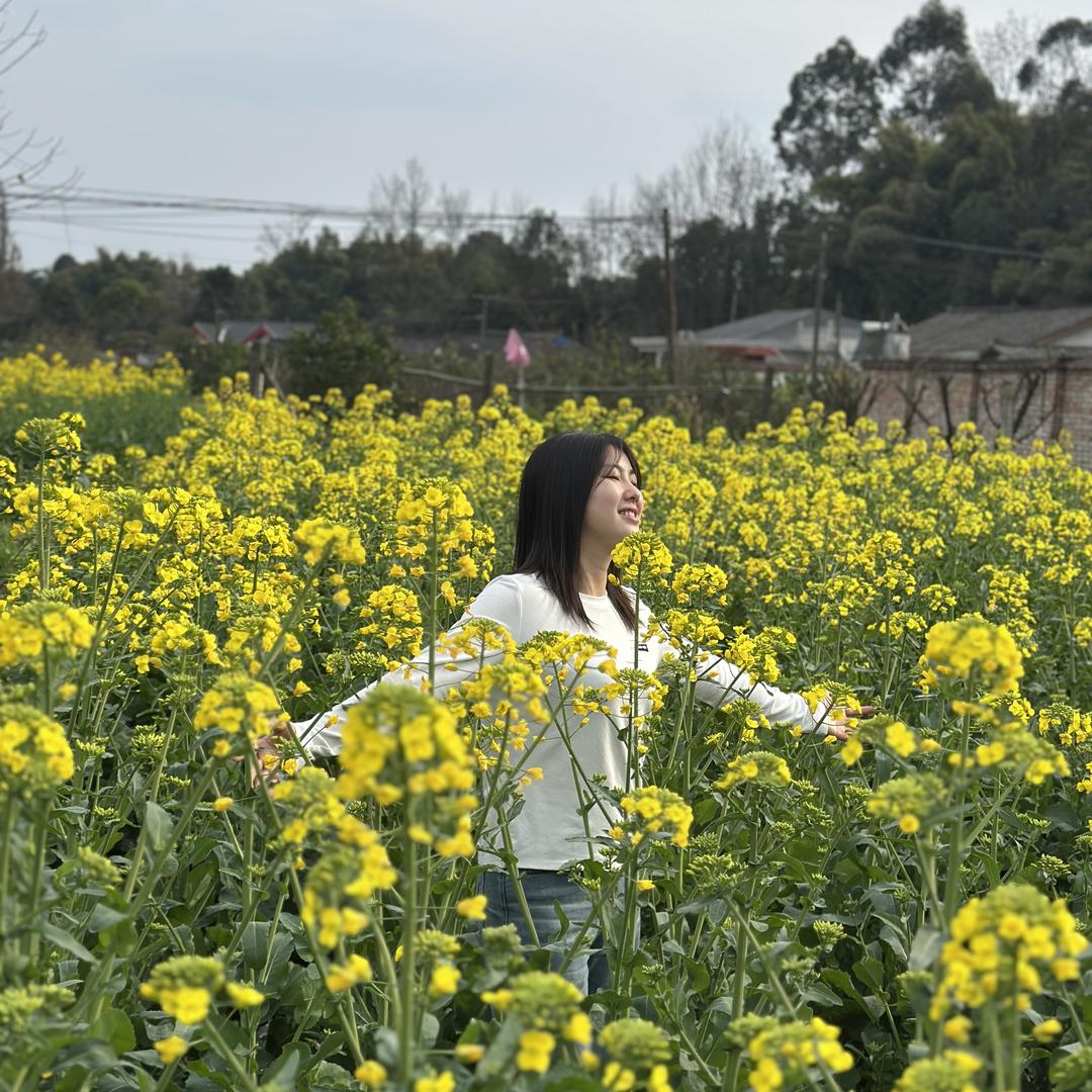沐川县飞呀飞蜂业