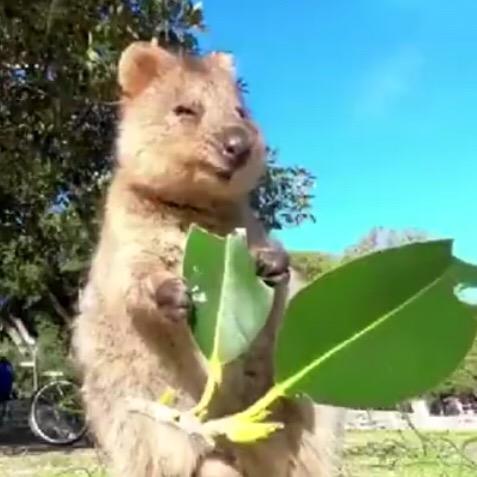 我是吃货