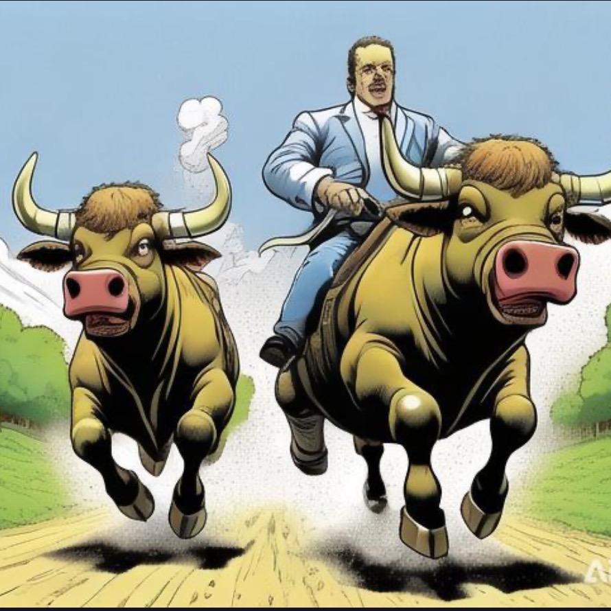 骑牛争霸赛（微山运河夜市）