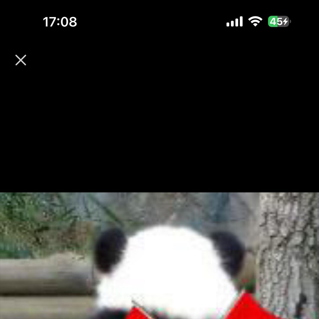 83157134