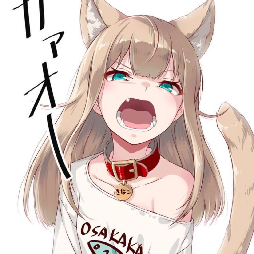 Aynoa（国一莎弥拉）