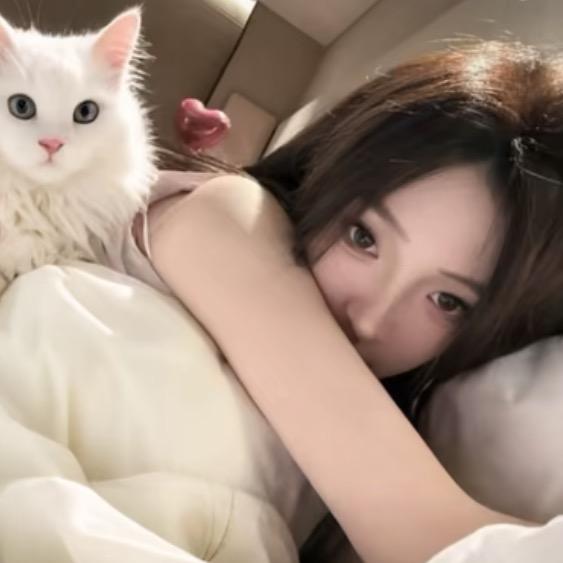 猫 .