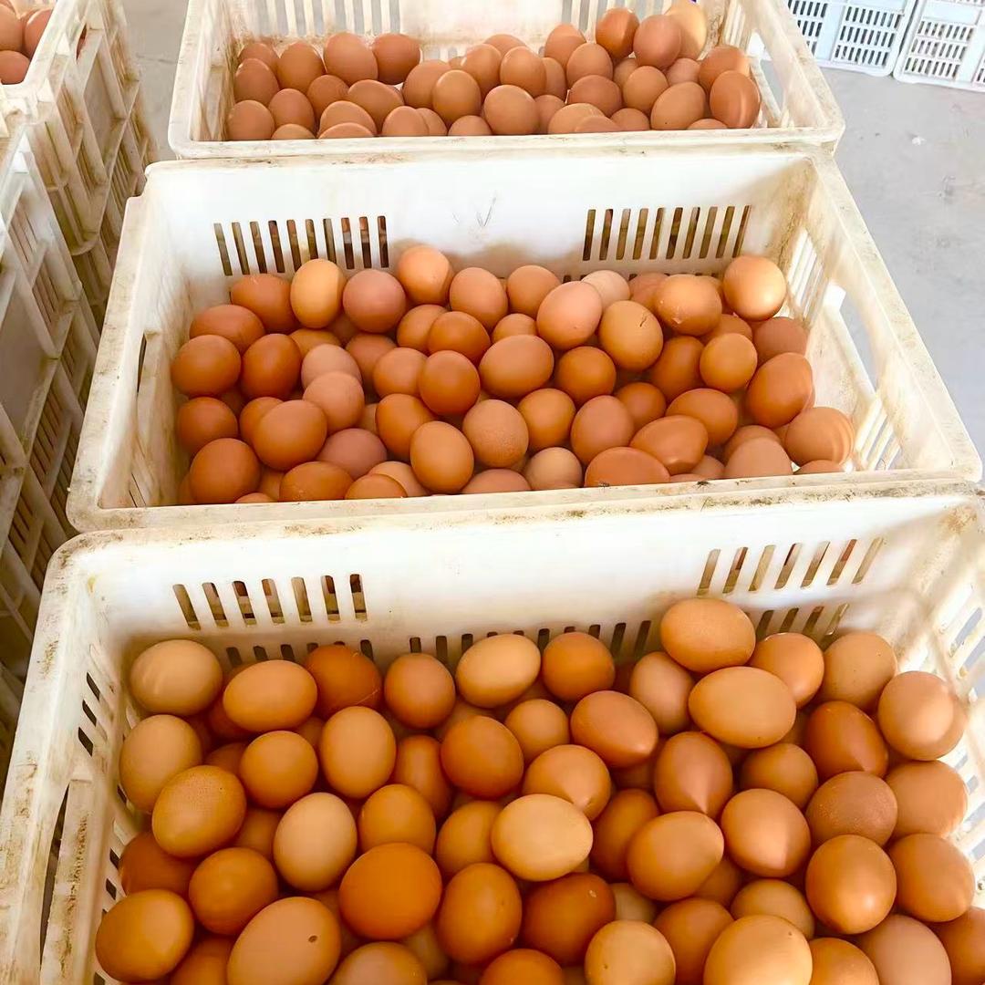 王后余生এ᭄ꪑⅈડડ ꪩꪮ꫁ꪞ