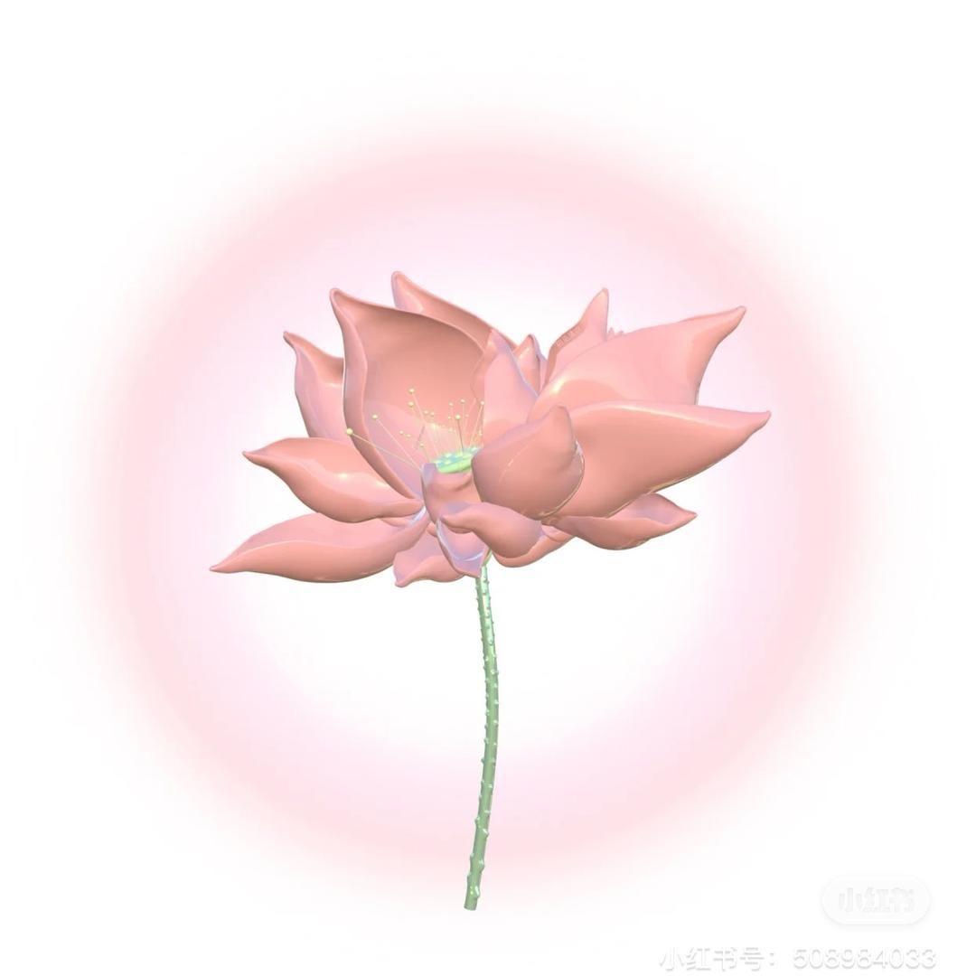 小ᴸ