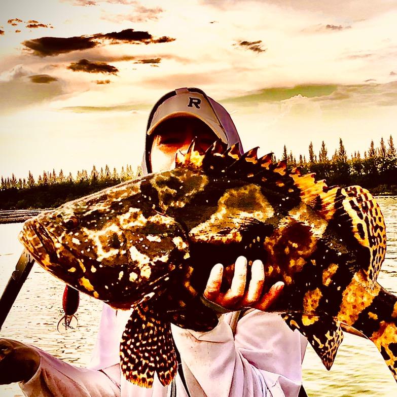 吴聊                🐜