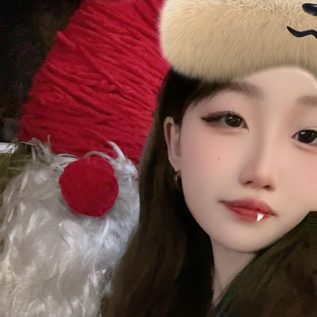 小燕子🪞