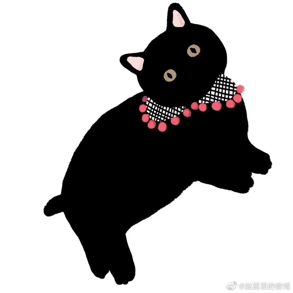 大胖腿姐姐