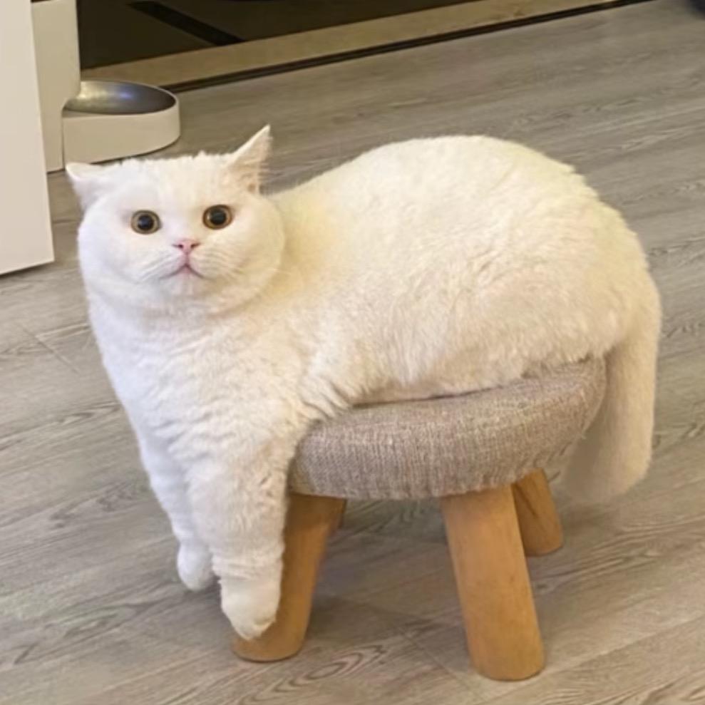 不饿也吃饭