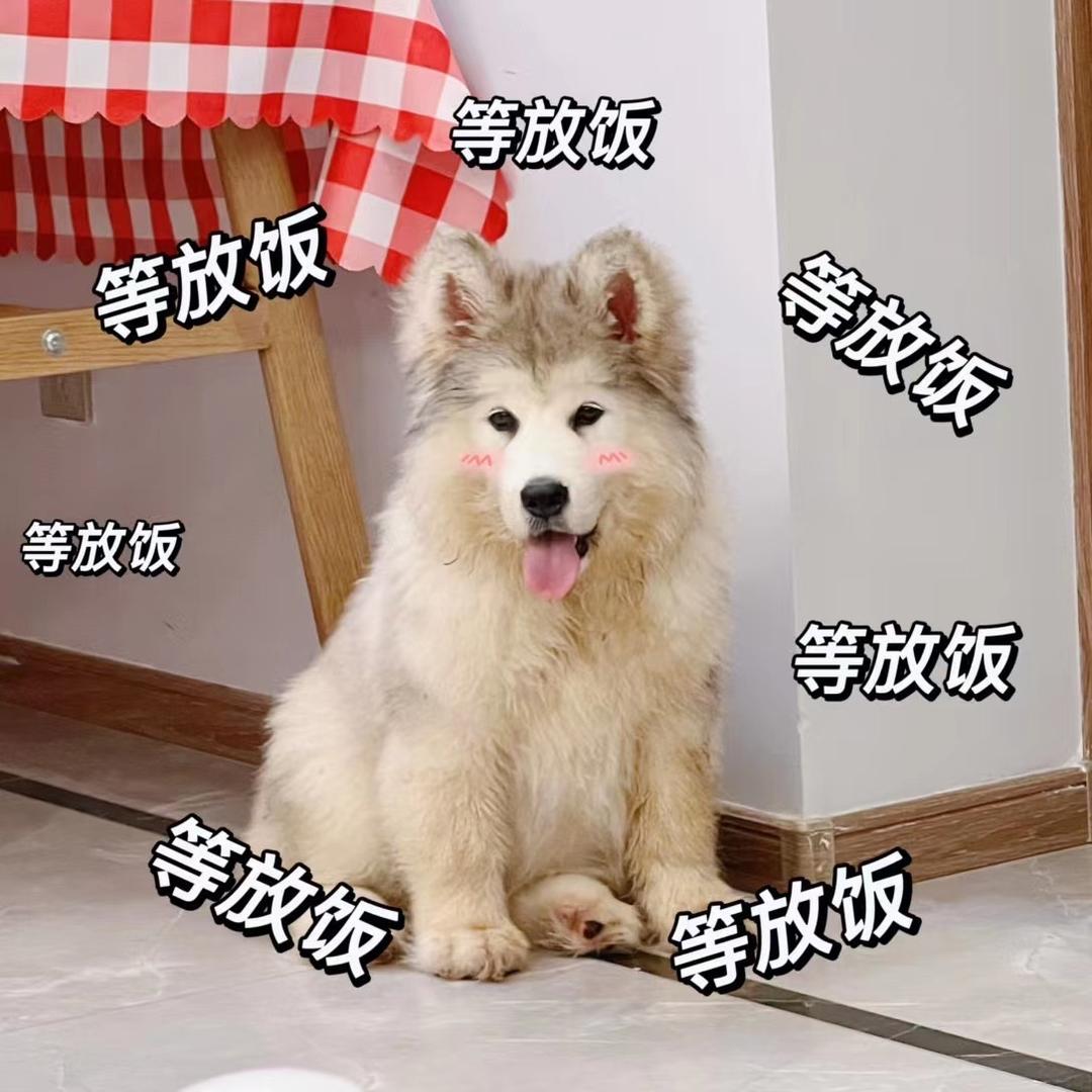 臭弟弟👦