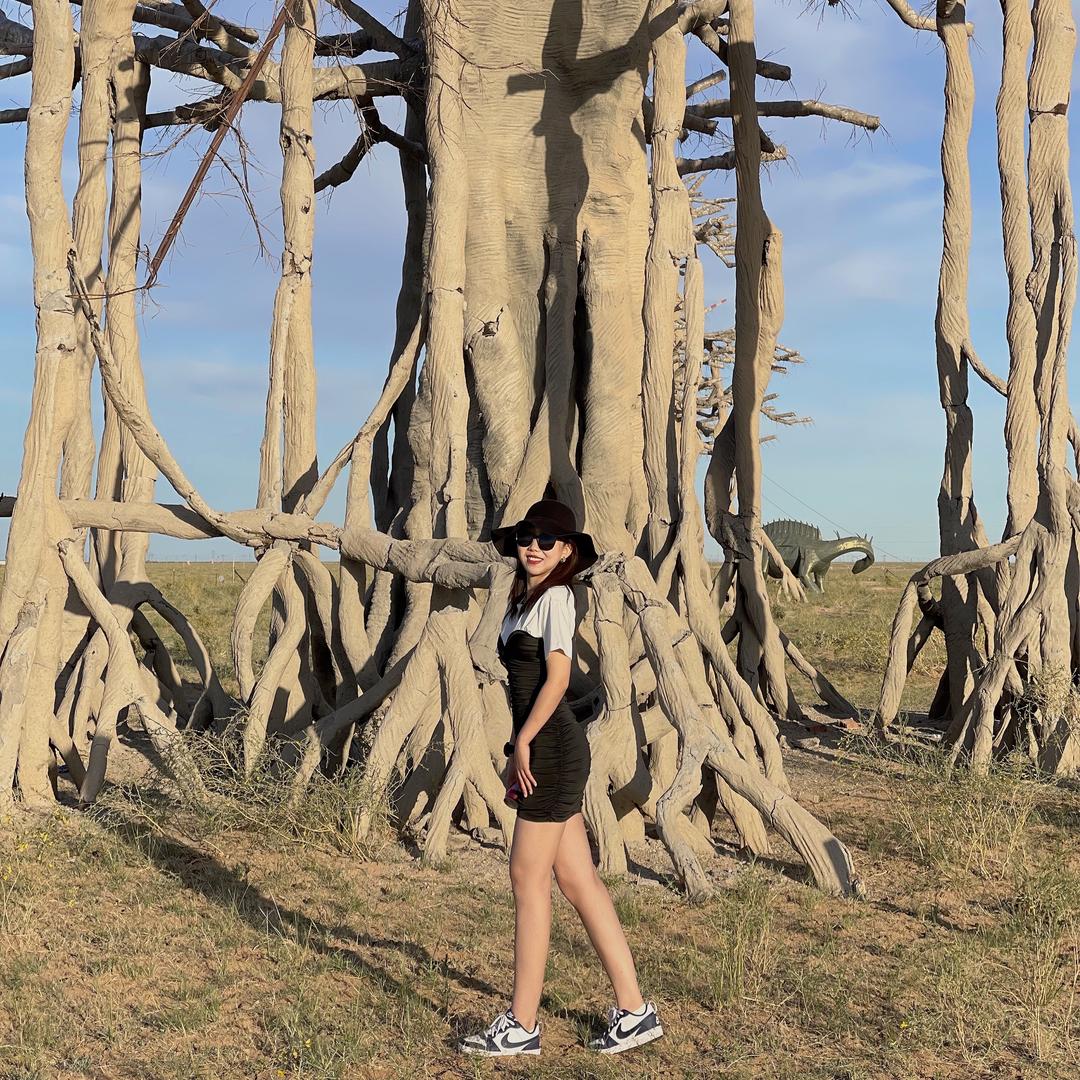 小懒姐姐🙋🏻‍♀️