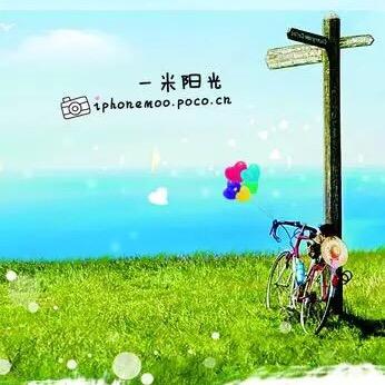 一趴窝
