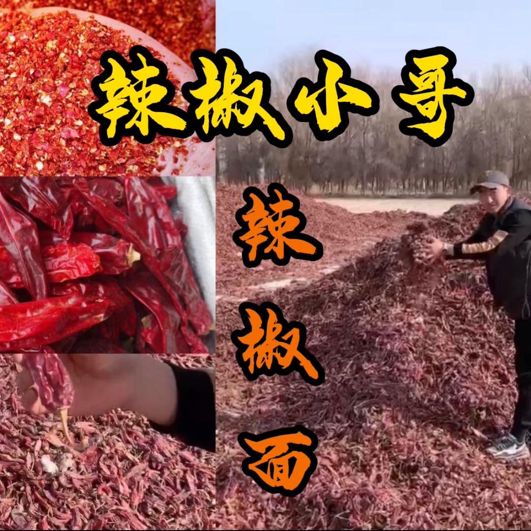 辣椒小哥！忠明