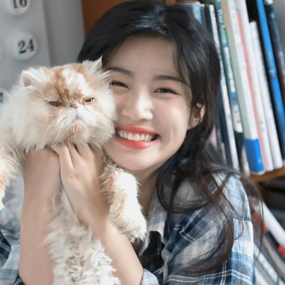 猫的树_