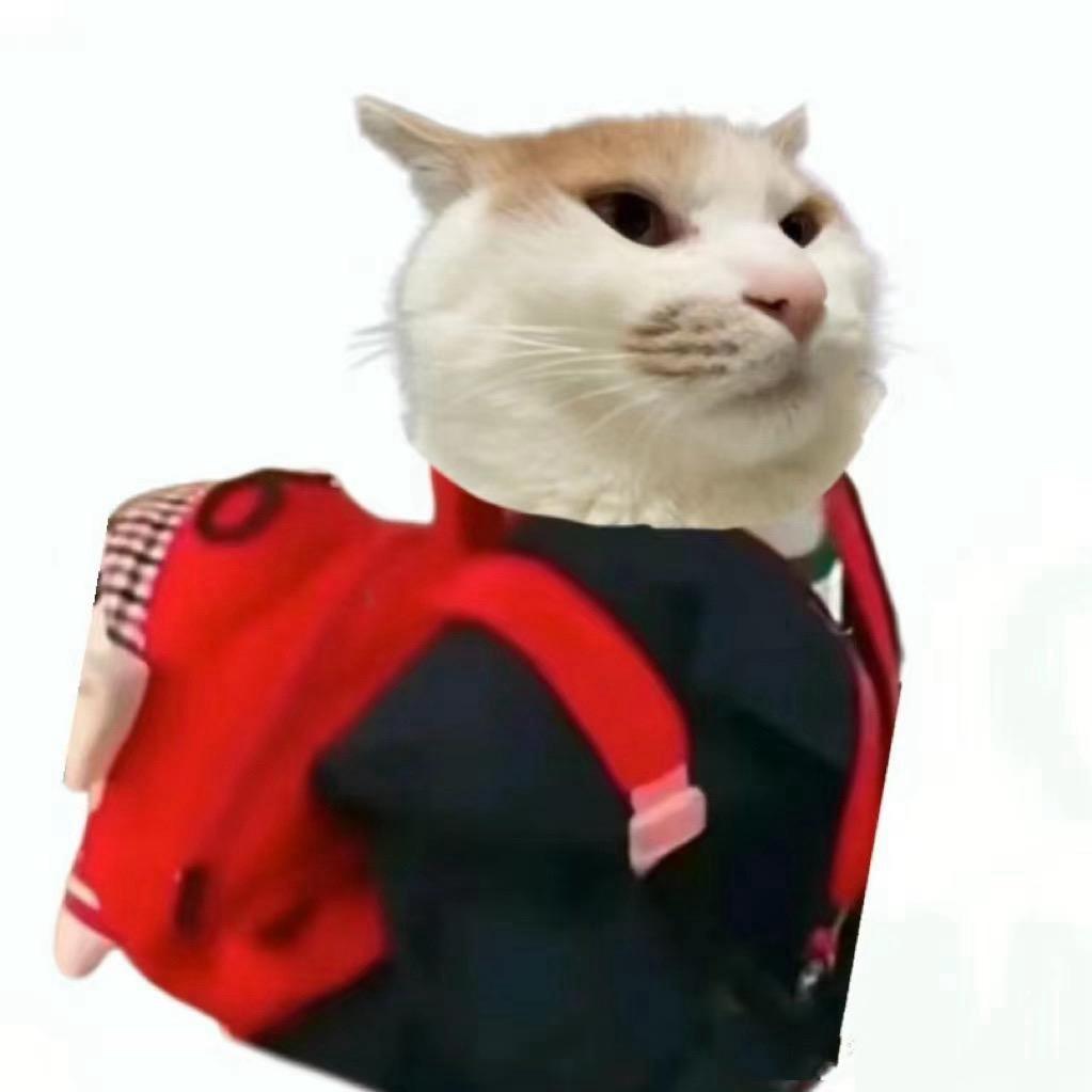 蕭皓的猫