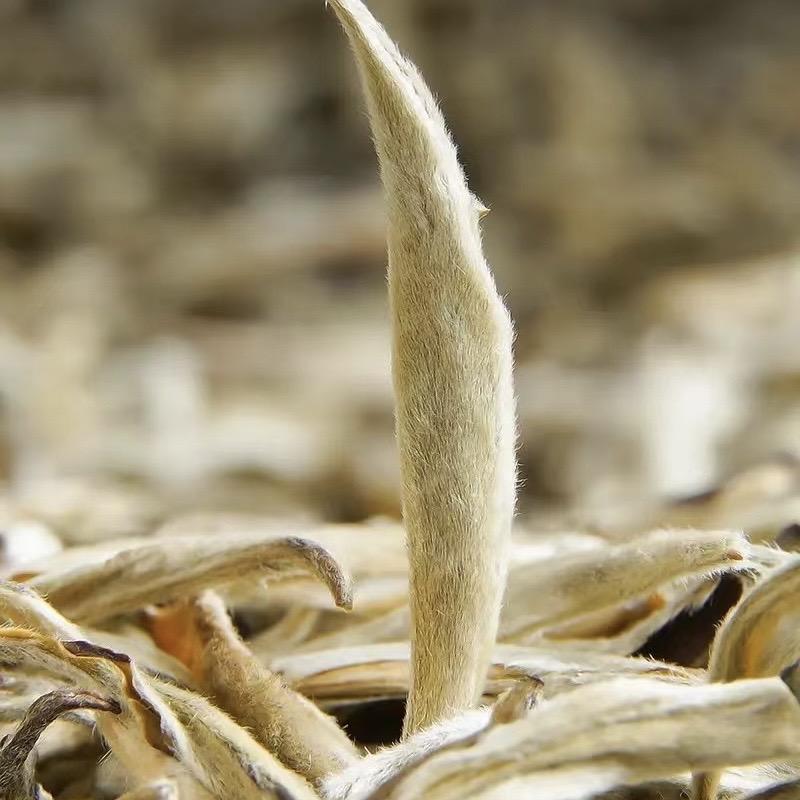安吉茶经阁盘