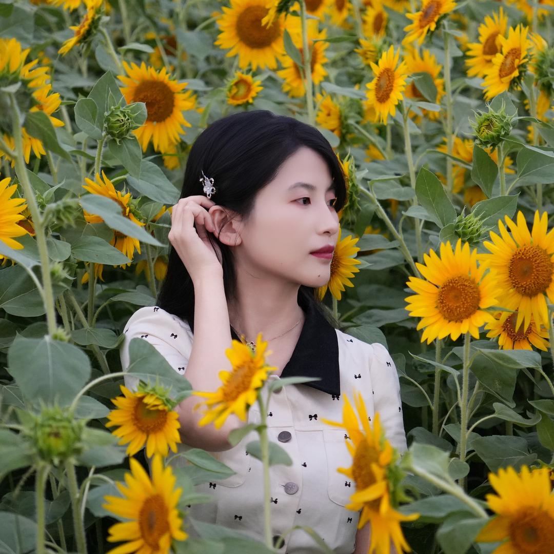 清青卿倾🌞🦁️🍀