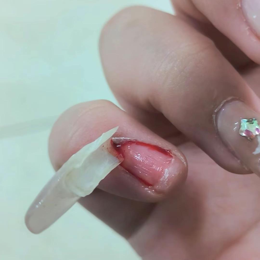 皮燕子