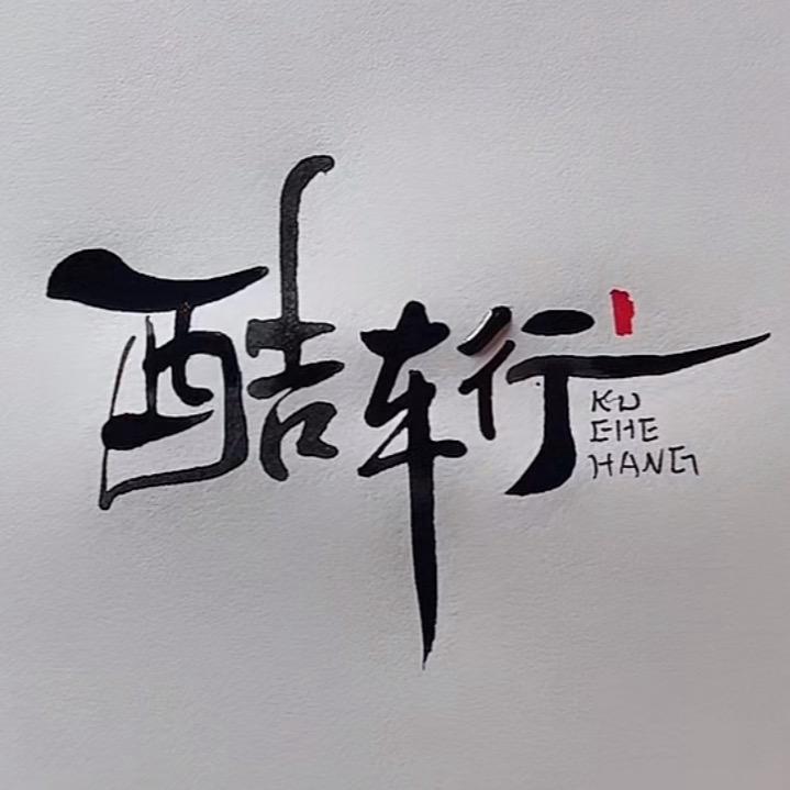 王总爱玩车（酷乐严选）