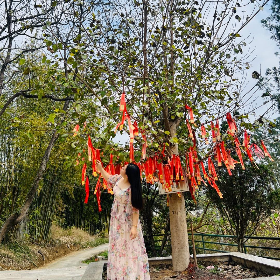 🧚‍♀️聚宝盆