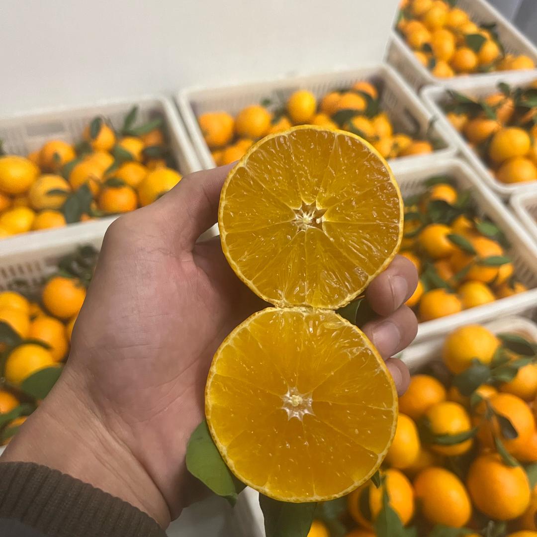 象山红美人小江