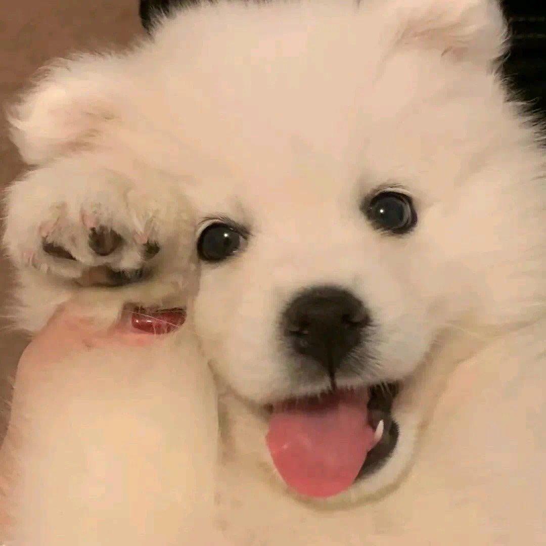 好运来来来🀄️