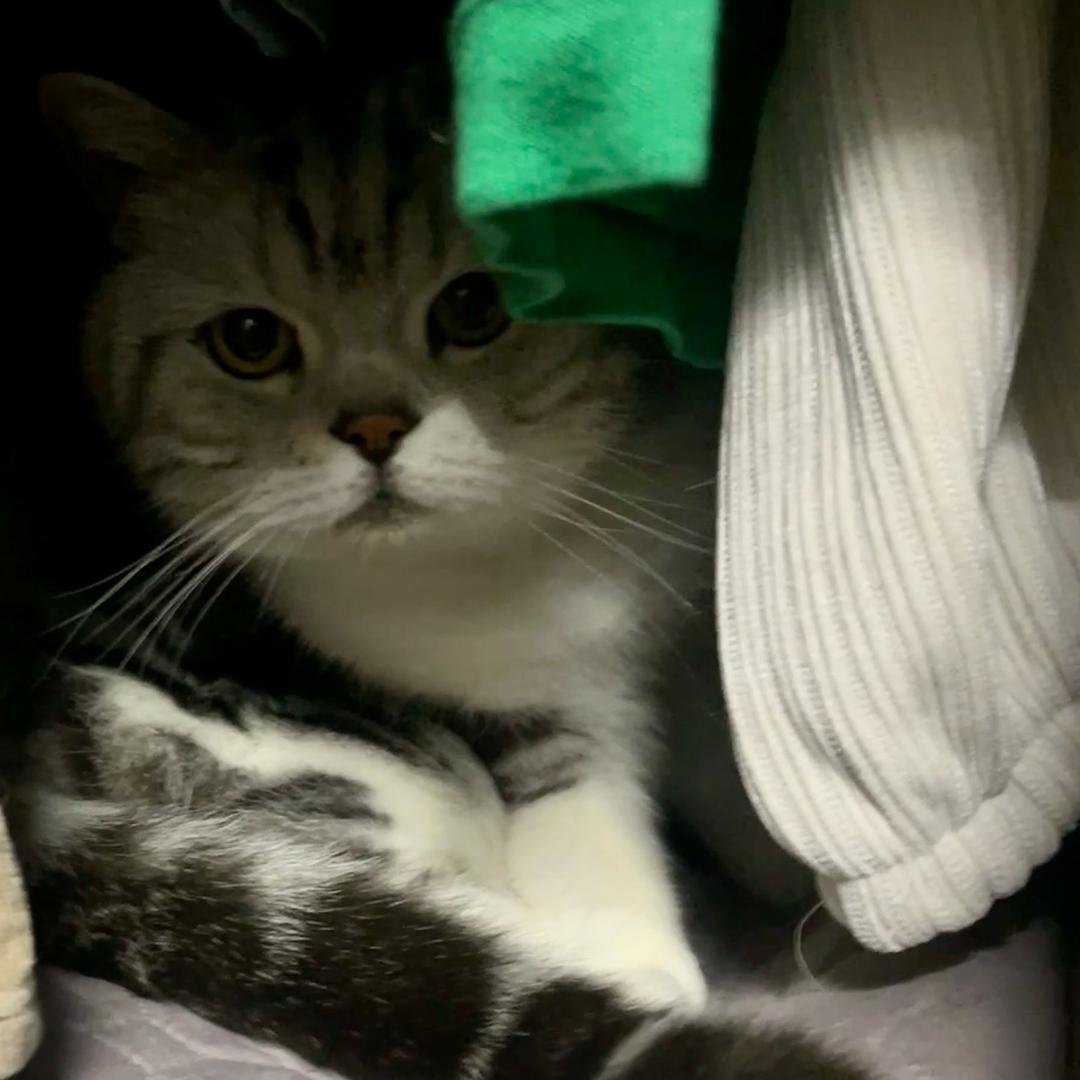 王公公不是渣男