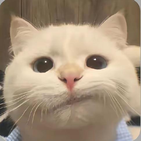 ，